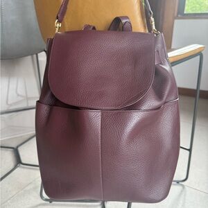 Cuyana Burgundy Leather Backpack